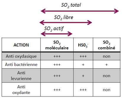 SO2 Total, libre et actif