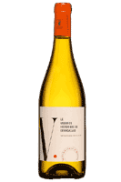 Le viognier hisrorique de Gourgazaud