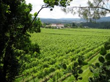 Quinta de Azevedo